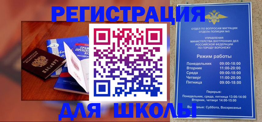 прописка для работы в Сертолово